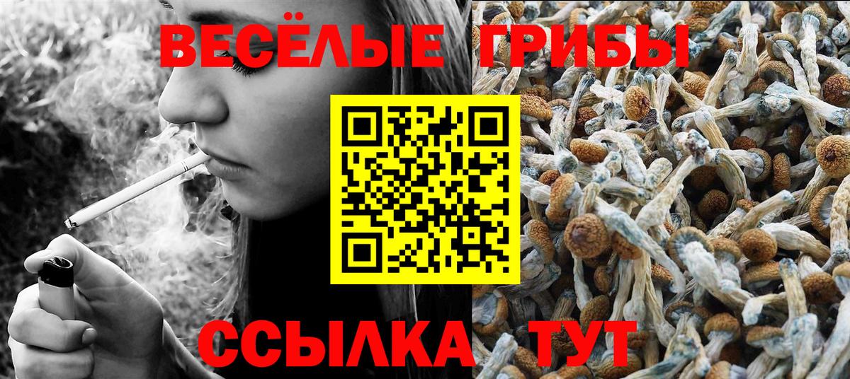 Галлюциногенные грибы мухоморы  Псилоцибиновые грибы мухоморы  где купить наркотик  Выкса  Вход с VPN 